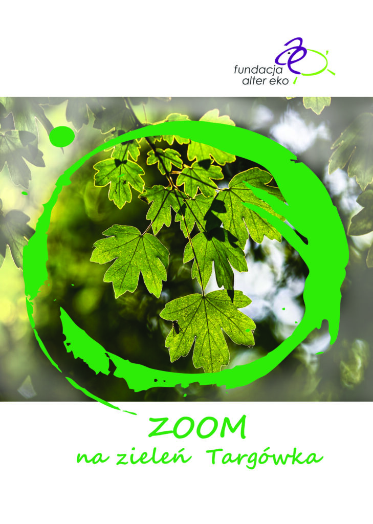 Publikacja dotycząca zieleni na Targówku. Bada preferencje mieszkańców w sprawach zieleni w dzielnicy - czego im brakuje, co cenią, itp. Zawiera analizę, wnioski i rekomendacje dla władz i dla mieszkańców. Zdjęcie to okładka publikacji, na której znajdują się liście.