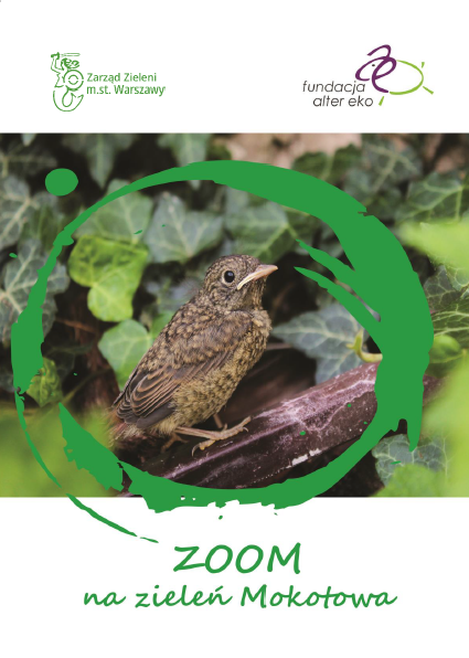 Publikacja dotycząca zieleni na Mokotowie. Bada preferencje mieszkańców w sprawach zieleni w dzielnicy - czego im brakuje, co cenią, itp. Zawiera analizę, wnioski i rekomendacje dla władz i dla mieszkańców. Zdjęcie to okładka publikacji, na której znajduje się ptak. 